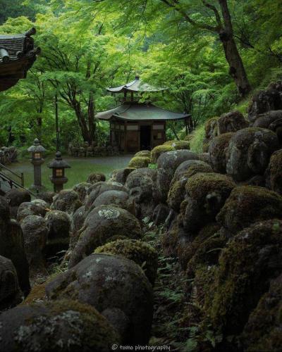 292097223_583944953101511_1140745609855908652_n