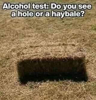 FB_IMG_1657311870521