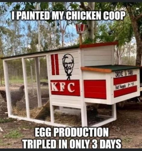 293156682_10160096436549797_4021636320569766757_n