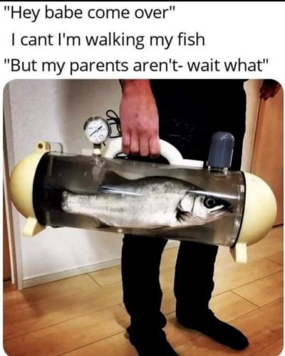 FB_IMG_1658163803174
