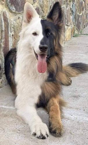 293438527_1104350240460199_1806461169282322423_n