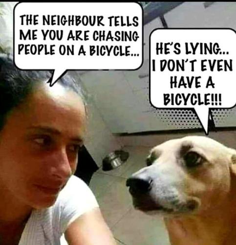 292903863_10225517381553839_177585334407085028_n