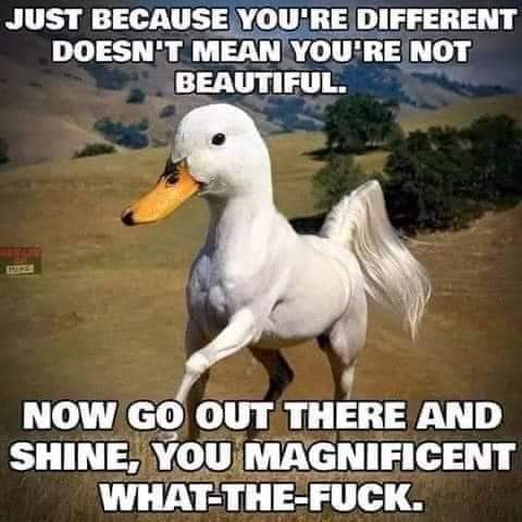 FB_IMG_1657727693638