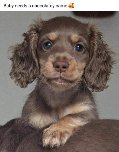 289363553_141117118586942_8695274760231230940_n