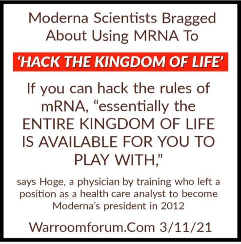 Screenshot_2022-07-09-15-06-32-749_com.google.android.apps.photos~2