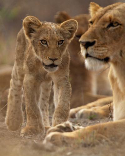 tumblr_nx10axXtnE1tb0hfso1_500