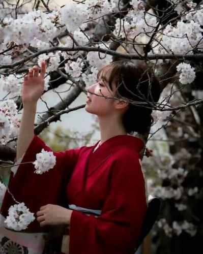 292225013_759733098807866_6060722963742223107_n