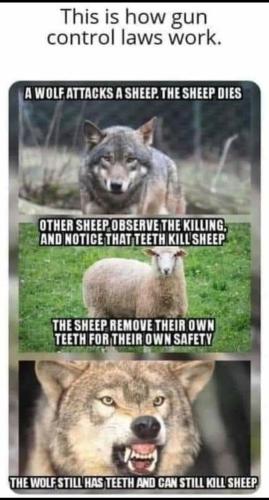 291734077_10161106004982814_6411359061775340229_n