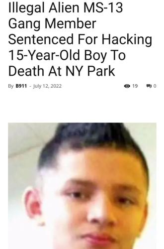 Illegals 1
