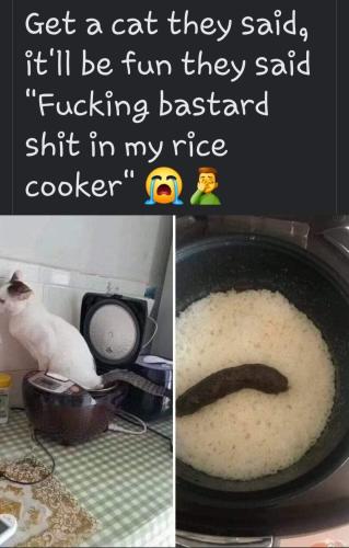 FB_IMG_1657387075778