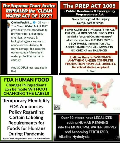 Screenshot_2022-07-31-08-32-18-278_com.google.android.apps.photos~2