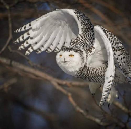 tumblr_19d1f35d35ab3b8d1b31e8f557371883_7a1d3273_540