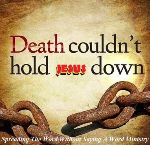 23cdbb56f17437ab00c12169b9bffd4b_1024