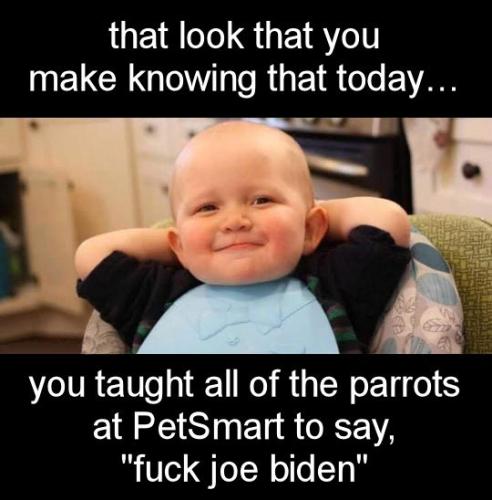 fuck joe biden51