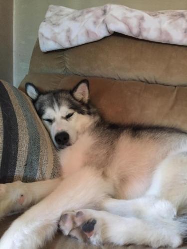 04732669-9C9A-4D92-9227-106D52128579