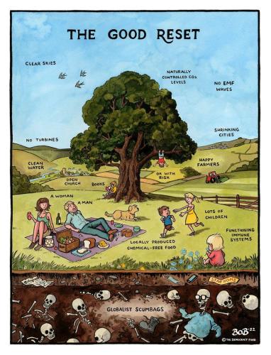 IMG_20220728_123311_270