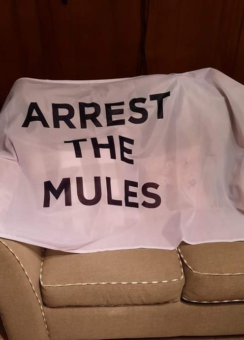 FB_IMG_1658757426473~2