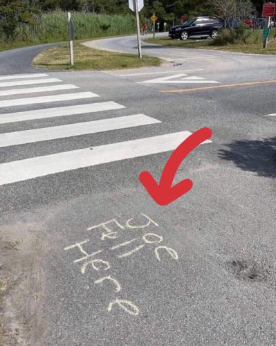 291935580_642353273917627_6944219130213244414_n