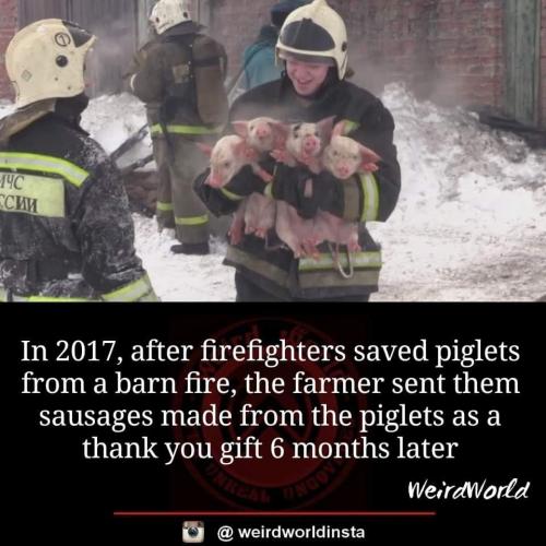 FB_IMG_1656801083519