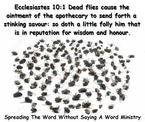 12321310_964138300334968_2815147835886792677_n