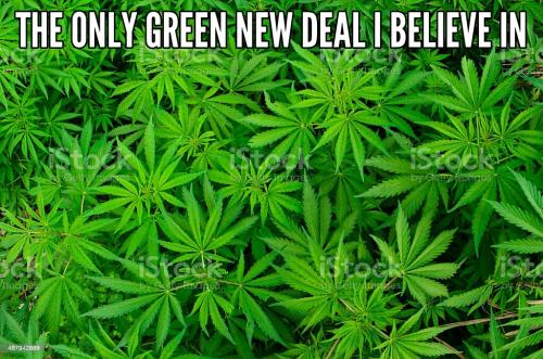 aviary-image-1656951901576