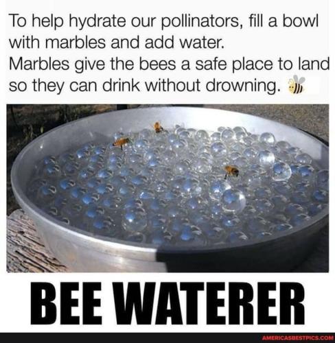 e7b823d0e5f436c1f7e93ff9c3af3ca7bf581e0477d85effa0e05b5752353750_1