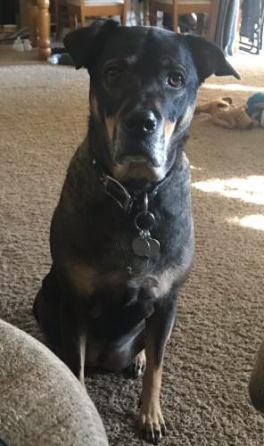 09EFD666-27F6-4759-9750-D2431323F1E0