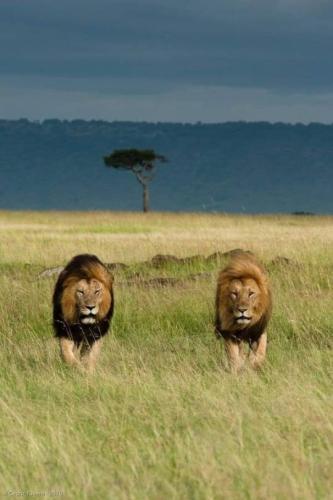 tumblr_8770c7fa988a8ec231a0993aaaa07efa_b44466ee_540