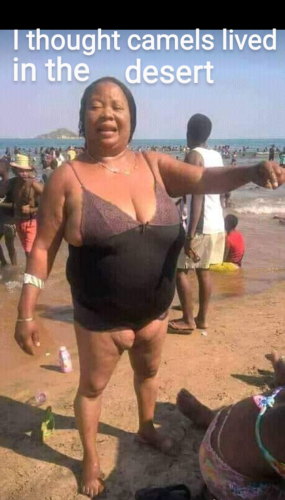 Screenshot_20220713-223010~2