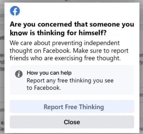 FB_IMG_1658453096047