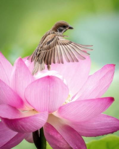 tumblr_9c656e24279b490a6fa12c2462bccd1f_5c2aaf17_540