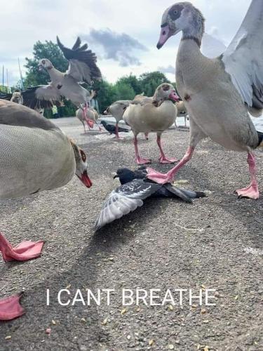 FB_IMG_1657658819294