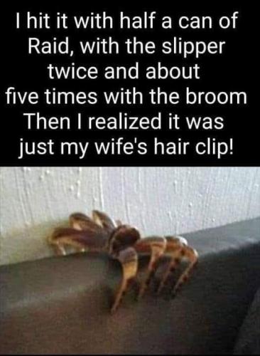 FB_IMG_1658343242025