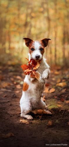 tumblr_7558744352966f1b14bb7d6287bed567_1f793c33_1280