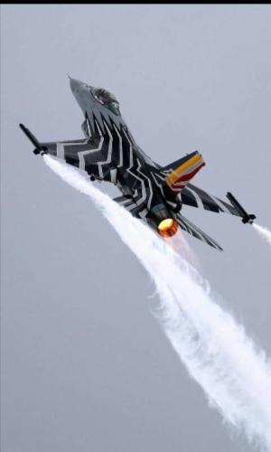 293193075_126241933444781_1078559809405163896_n