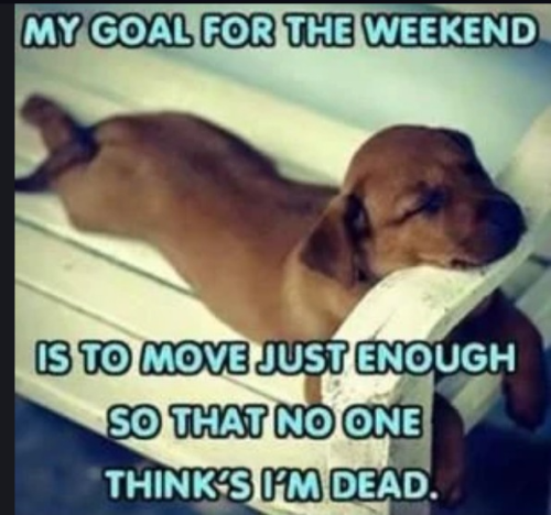 captures_chrome-capture-2022-6-10 (2)