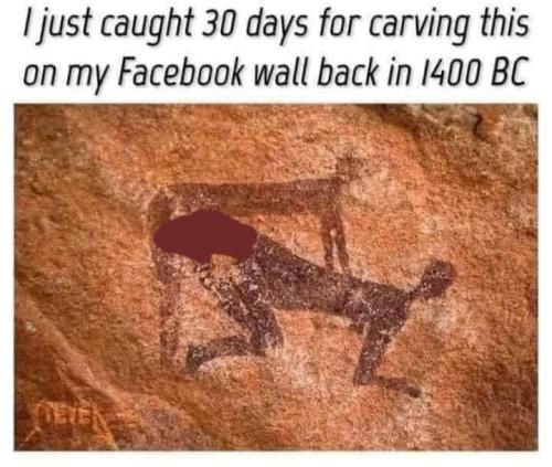 293999635_10158865181175509_2570759383080986705_n