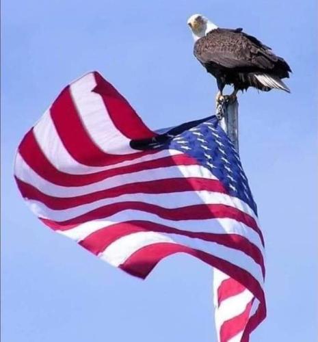 FB_IMG_1644732340330