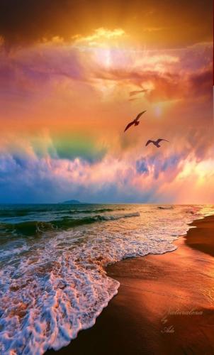 292390546_578147813971633_8304450309400762503_n