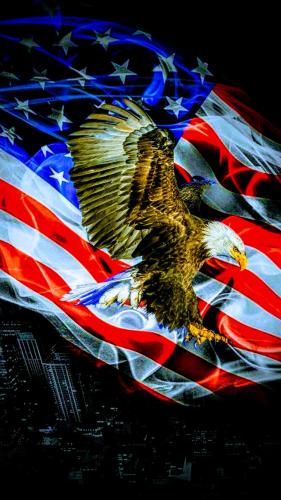 Polish_20200110_105211517~5