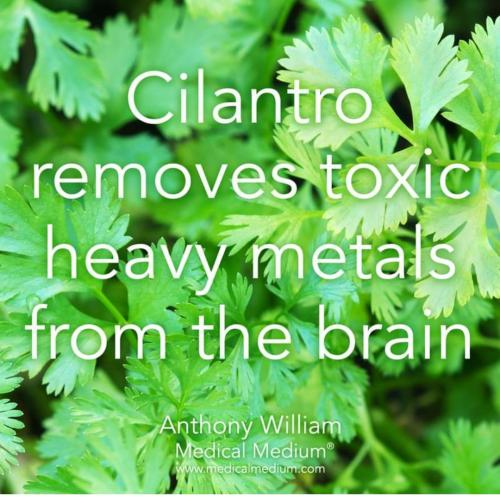 Screenshot_2022-07-29-08-16-54-697_com.facebook.katana~2