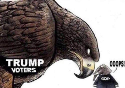 Screenshot_20220607-132039_Gallery