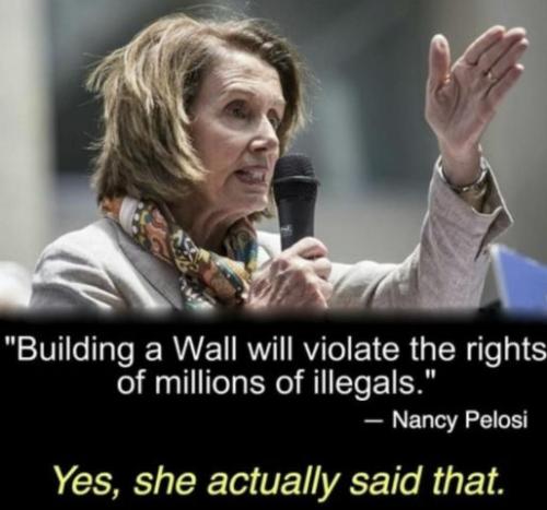 the wall229