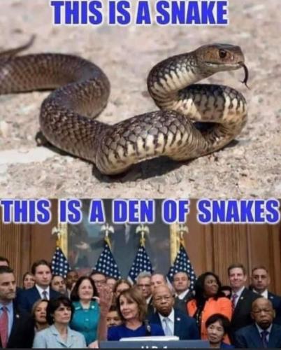 FB_IMG_1657387319274