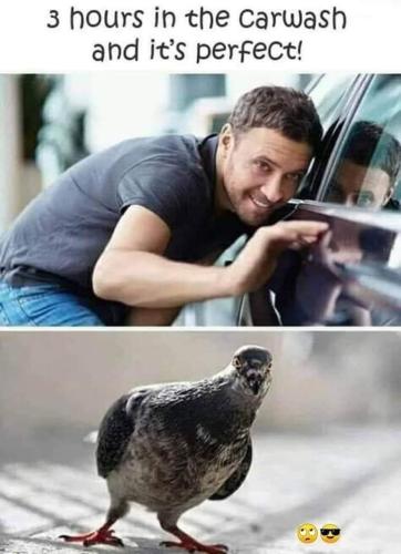 FB_IMG_1657570328679