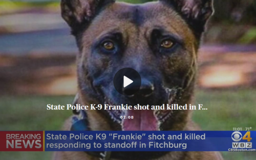 hbnytgfrnhjbrtygnbhtgyr