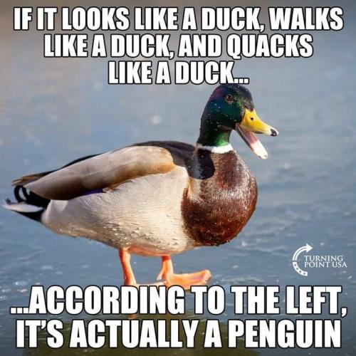 FB_IMG_1656782761058