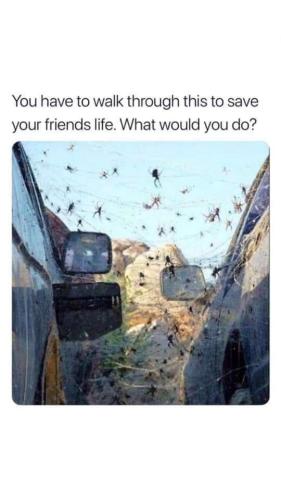 FB_IMG_1658154651072