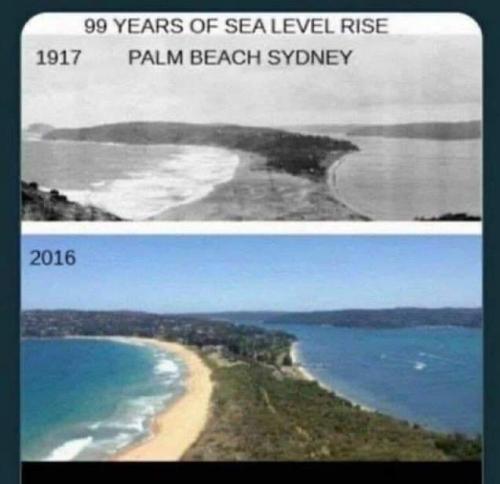 FB_IMG_1658091848452