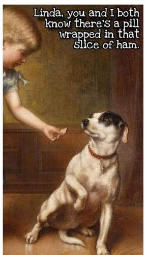 296103528_10227222358999990_7604876333791809486_n